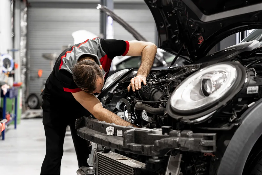 Mini service Milton