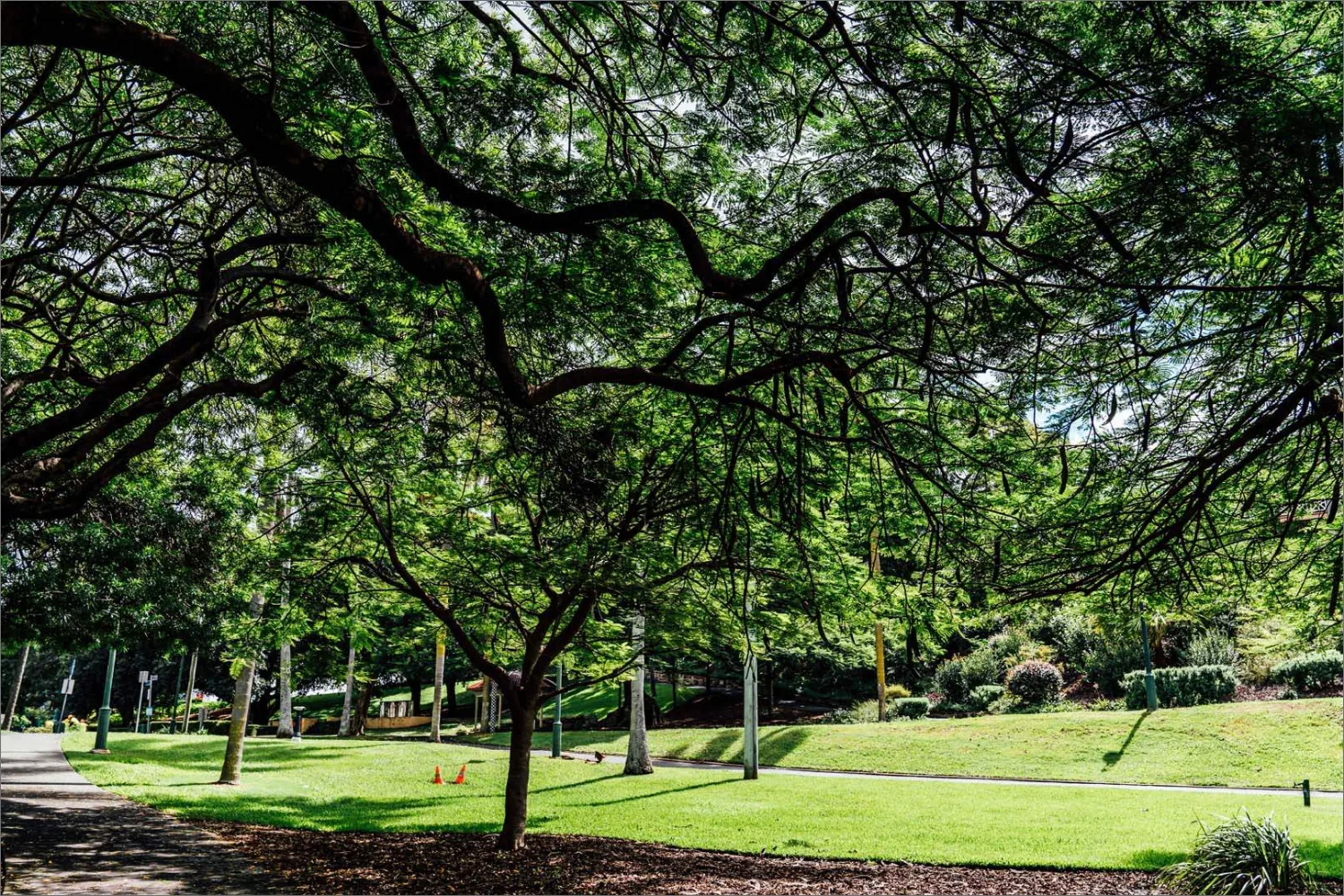 Newstead park