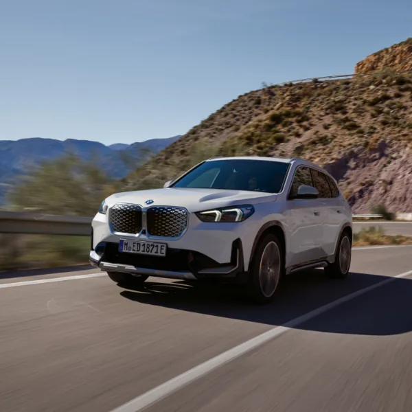 BMW log book service