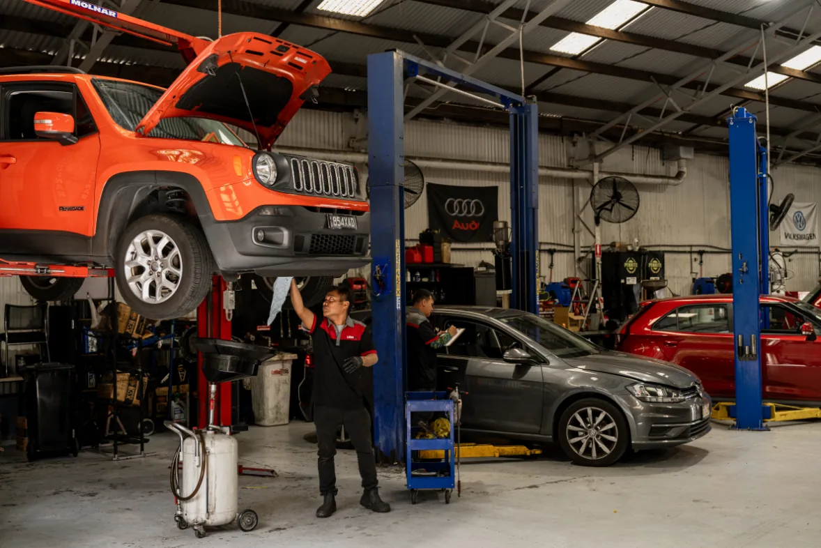 Timing belt cost