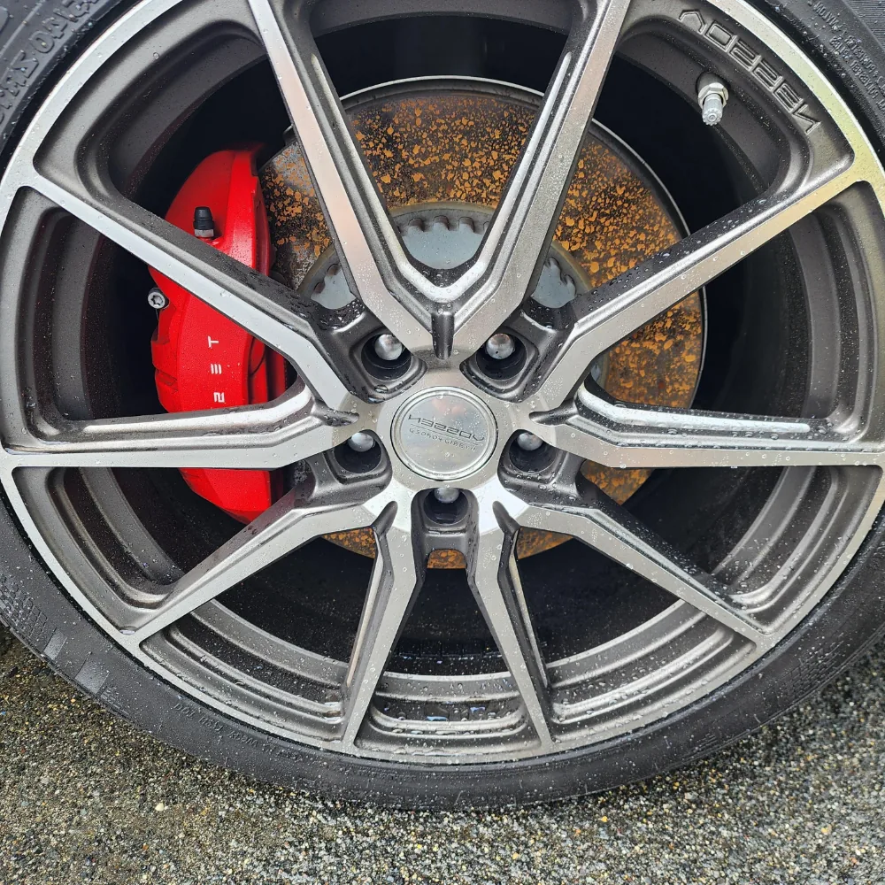 Rusty Tesla brakes