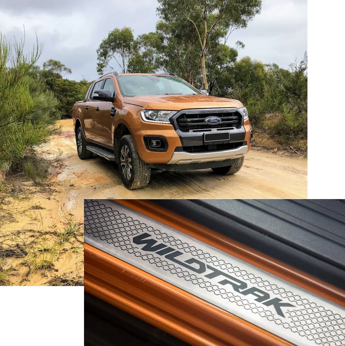 Ford range wildtrak